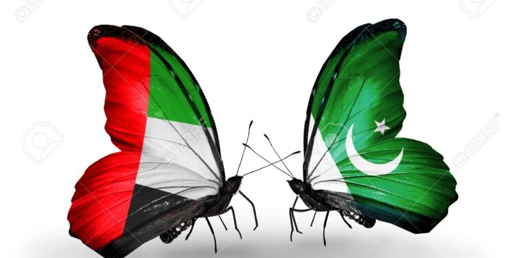 Two butterflies with flags on wings as symbol of relations UAE and Pakistan