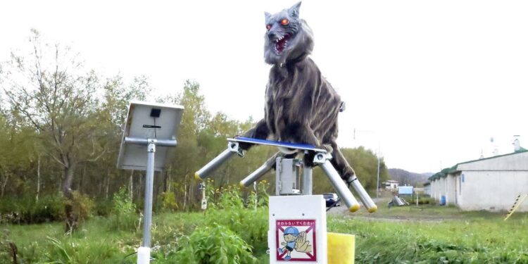 جاپان میں جگہ جگہ روبوٹک بھیڑیے کیوں لگائے گئے ؟