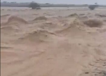 عمان میں شدیدطوفانی بارشوں نےتباہی مچادی