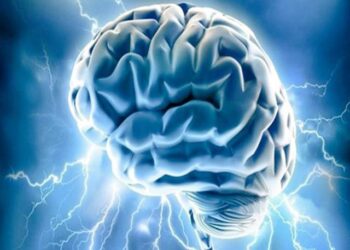 دماغی صحت کے لیے ہماری ملازمت کتنی اہم ہوتی ہے؟